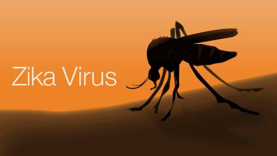 Long, Island New York Zika Virus