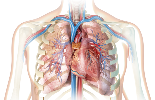 Post Covid-19 Treatment Center